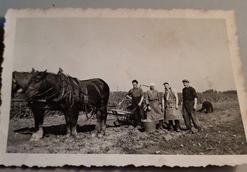 Altes foto vintage - altes,