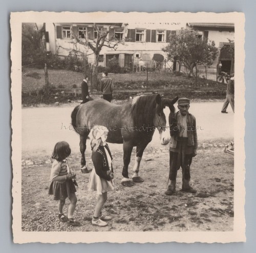 ärmlicher bauer mit pferd - bauer, und