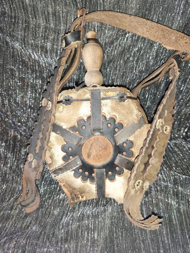 Pferd kopf leder fell - pferd,
