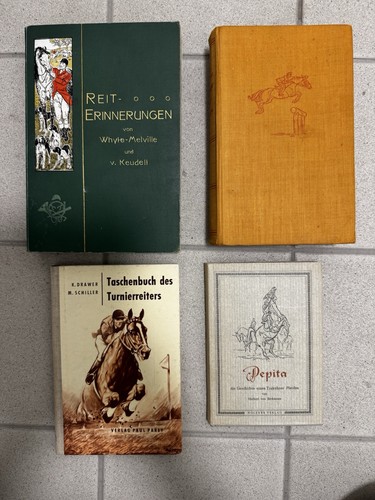 Pferde reiten pferdesport - reiten,
