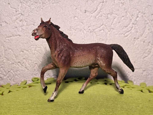 Alt pferd masse nicht hohl - masse,