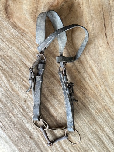 Trense alte pferdetrense mit - trense,